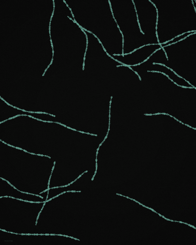 Growth-axis peptides visual vocabulary