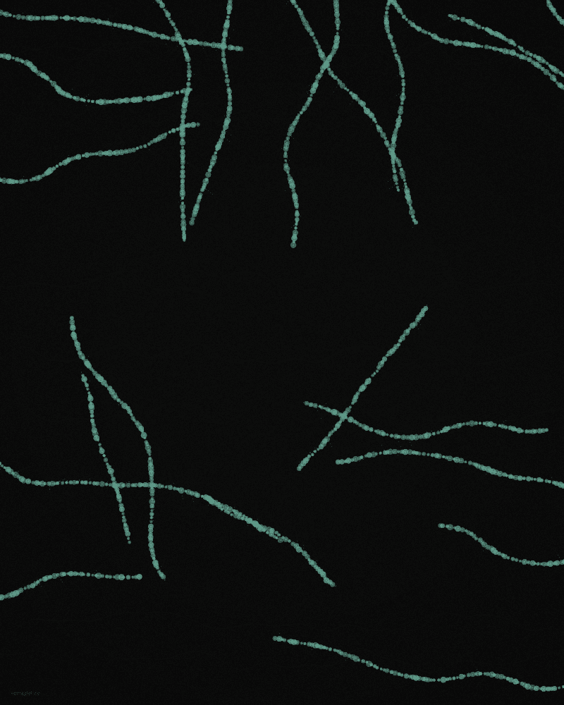 Semaglutide
